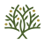 cropped-Olive-and-Vine_COLOR-TREE-01.png